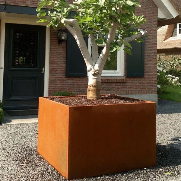 Plantenbak Carrez met bodem cortenstaal 50x50x50 cm