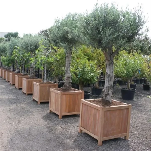 Plantenbak Valencia hardhout 100x100x95 cm