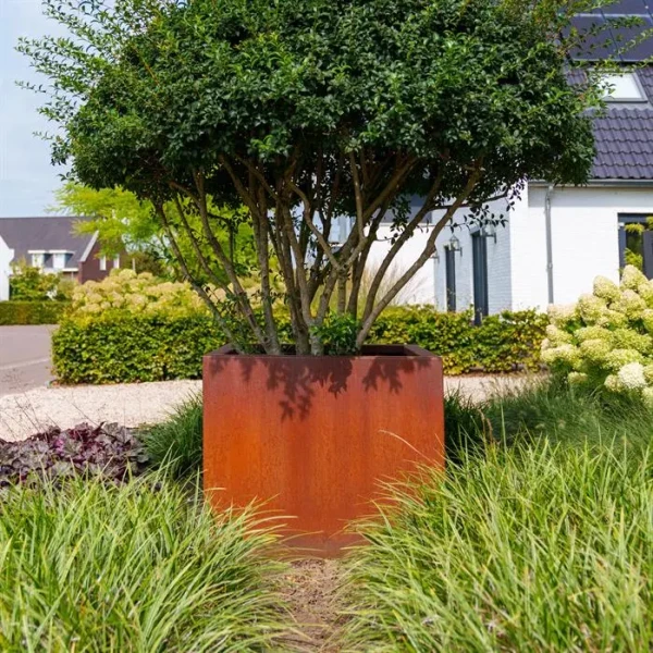 Plantenbak Carrez met bodem cortenstaal 80x40x80 cm