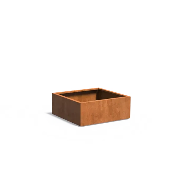 Plantenbak Carrez met bodem cortenstaal 100x100x40 cm