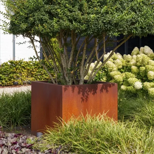 Plantenbak Carrez met bodem cortenstaal 80x40x40 cm