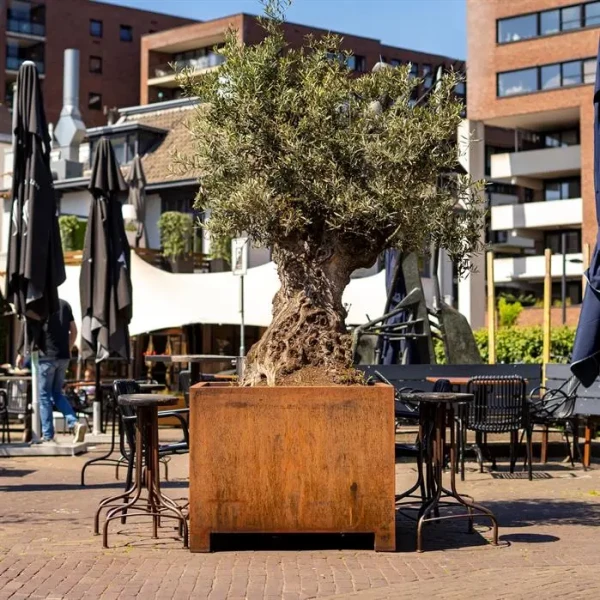 Plantenbak Carrez met poten cortenstaal 80x80x80 cm