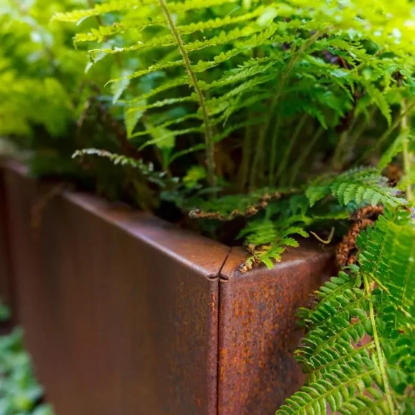 Plantenbak Carrez Connect zonder bodem cortenstaal 150x40x80 cm