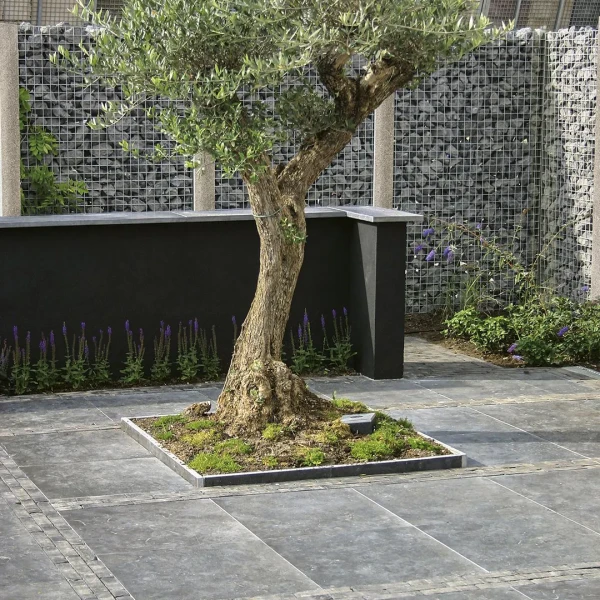 Blue Moon Honed Anticato 100x100x3 cm