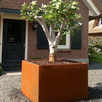 Corten Stalen Bloembak 200x200x80cm (lxbxh)