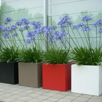 Plantenbak Carrez met bodem aluminium 40x40x40 cm