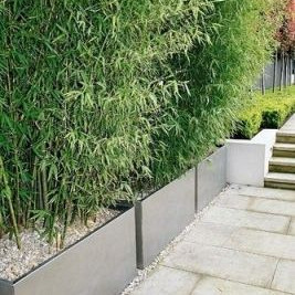Plantenbak Carrez met bodem aluminium 100x40x40 cm