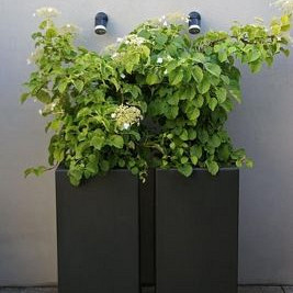 Plantenbak Carrez met bodem aluminium 40x40x80 cm