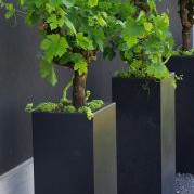 Plantenbak Carrez met bodem aluminium 40x40x80 cm