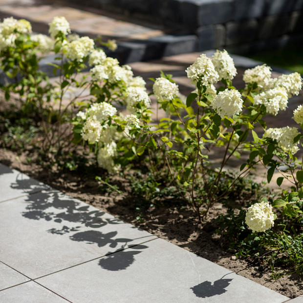 Restpartij Edam: ca. 25 m2 GeoCeramica® 60x60x4 cm Roccia Grey