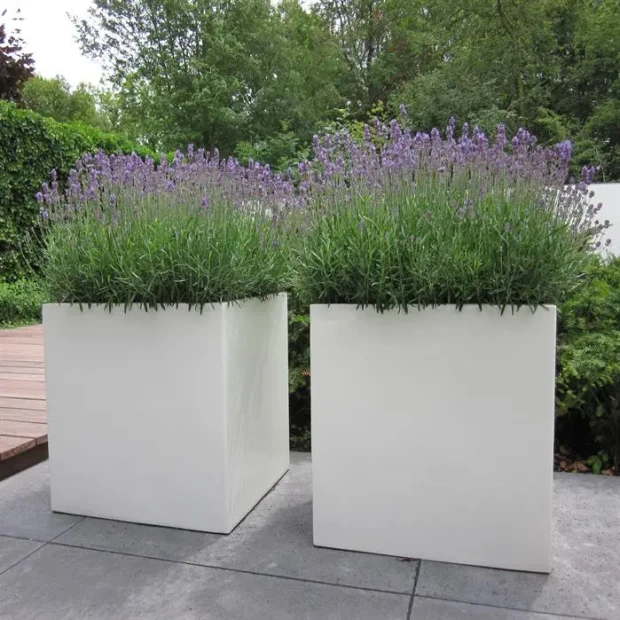 Plantenbak Carrez met wielen polyester 200x50x60 cm