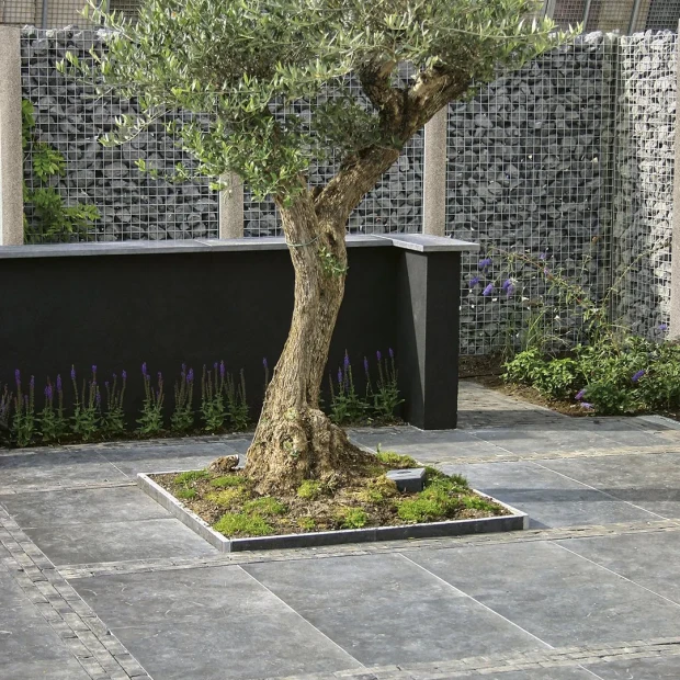 Blue Moon Honed Anticato 100x100x3 cm