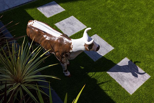 project middenbeemster 2