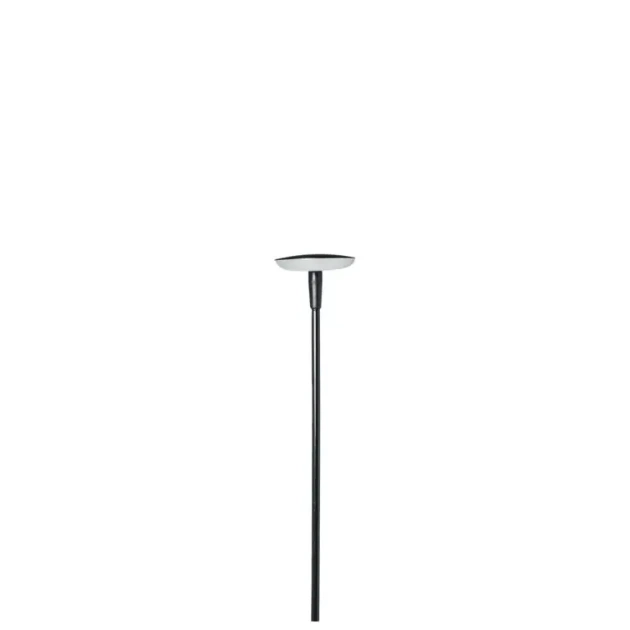 SWAY LOW Black