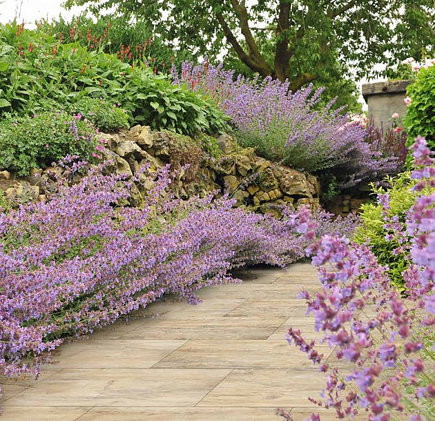 Outletpartij Actietegel Keramiek op Beton 45x90x5,8 cm Paduc Oak