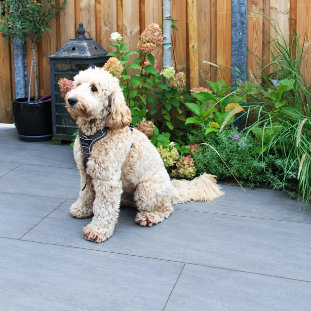 134864 outletpartij actietegel keramiek op beton 45x90x5 8 cm moonstone piombo 616714