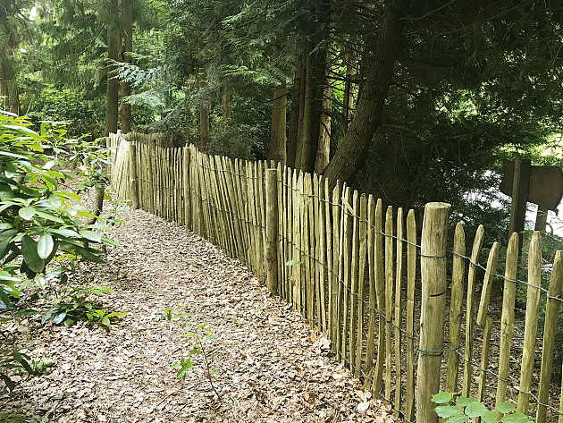 Kastanjepaal geschild en dun gepunt Ø10/12x300 cm