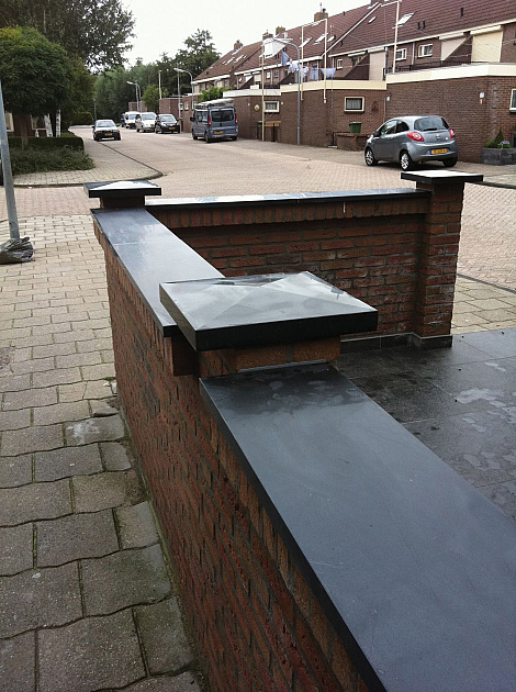 Afdek- Vijverrand Granero 100x20x3 cm gezoet met facet