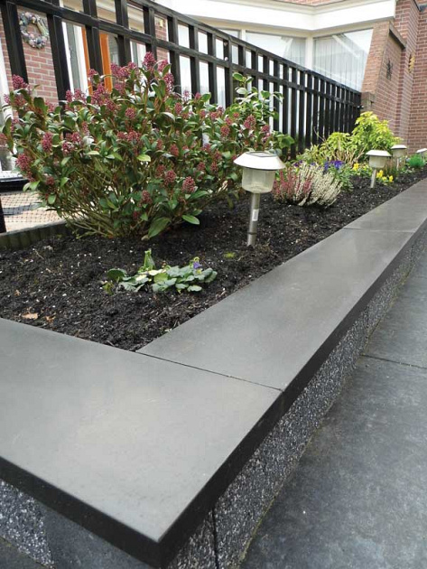 Afdek- Vijverrand Granero 100x20x3 cm gezoet met facet