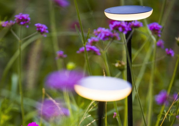 Sway Light Head Black