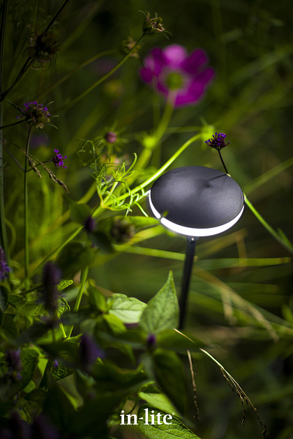 25669 sway light head pearl grey 143152