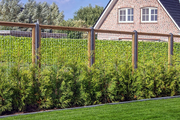 Eco gaastrellis met maas 7,5x7,5 cm, in grenen raamwerk 4,5x4,5 cm, 180x180 cm.