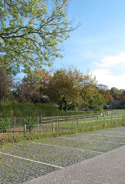 Keigrassteen 45x45x10 cm Antraciet