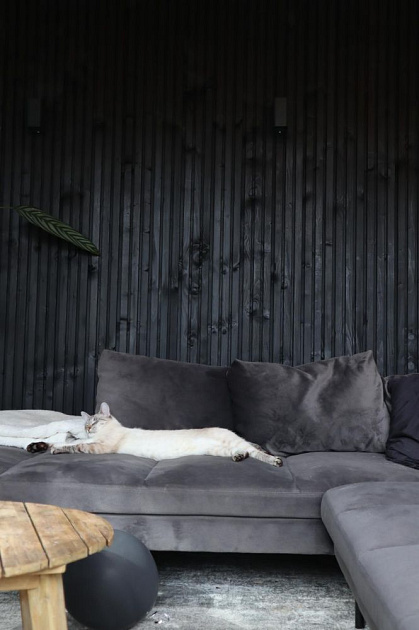 JWOODS Vuren Triple Profiel Plank 2,2x14x300 cm, Zwart Gespoten