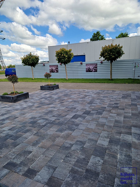 Straksteen 20x30x6 cm Oud Drachten