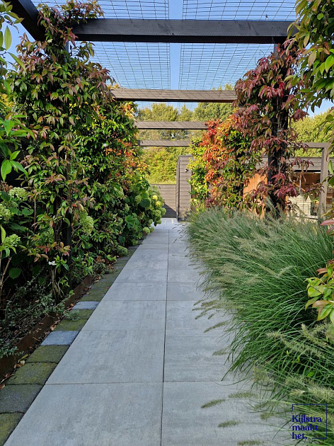 Patio Square 60x60x4 cm Concrete