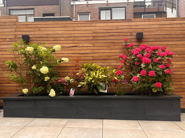 X-Clip Thermo Fraké Wanddelen Recht 2,1x6,4x245 cm