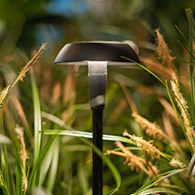 MINI SWAY CAP