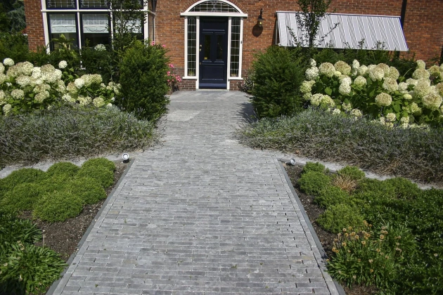 Blue Moon Honed Anticato 20x5x5 cm