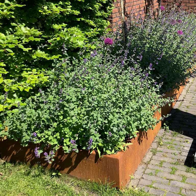 Cortenstaal keerwand recht 100x20x50 cm