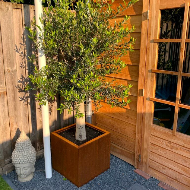 Cortenstaal vierkante plantenbak Miami 50x50x50 cm met bodemplaat