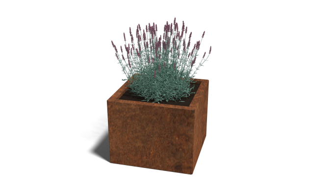 Cortenstaal vierkante plantenbak Miami 50x50x60 cm geen bodemplaat