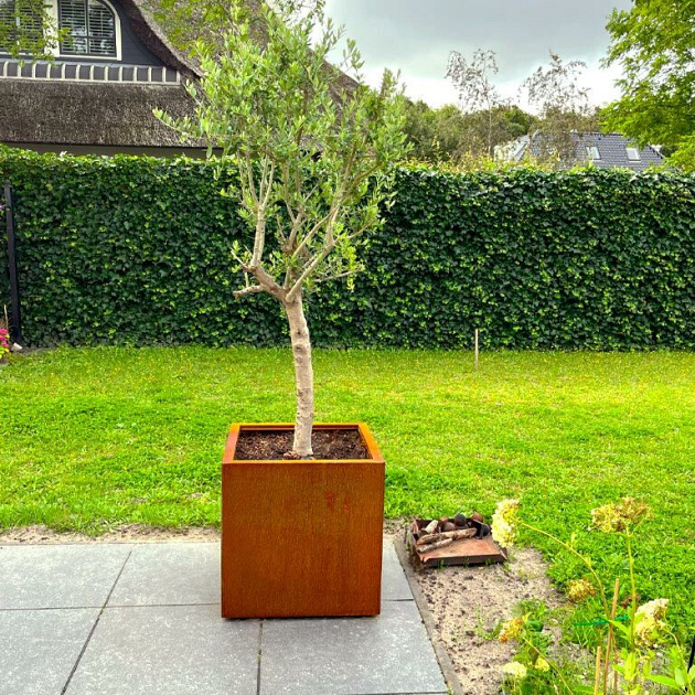 Cortenstaal vierkante plantenbak Miami 60x60x80 cm met bodemplaat + (8) voeten