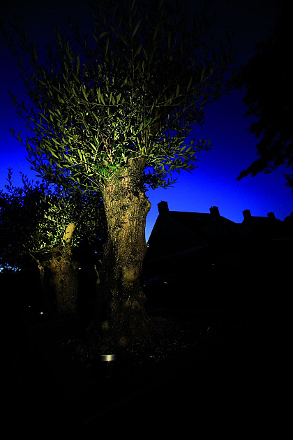 4961 big scope 37798