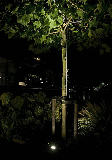 4961 big scope 37801