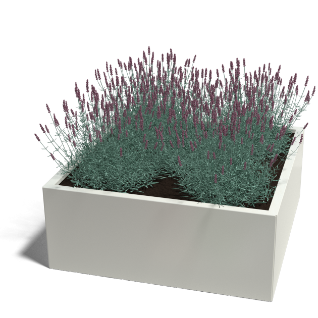 Gepoedercoat staal plantenbak Miami 100 x 100 x 50 cm geen bodemplaat