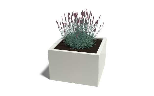 Gepoedercoat staal plantenbak Miami 60 x 60 x 40 cm geen bodemplaat