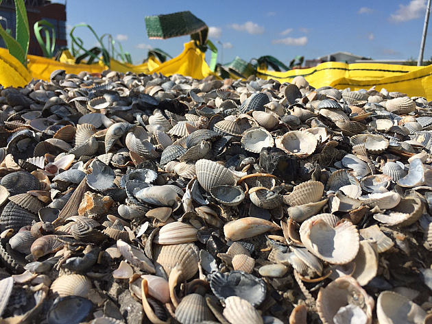 Schelpen 8-16 mm incl. Bigbag (1 m³)