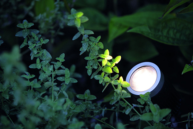 5334 big scope narrow 37799