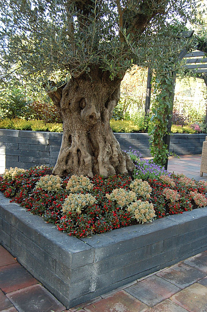 Betonbiels 120x20x12 cm Antraciet