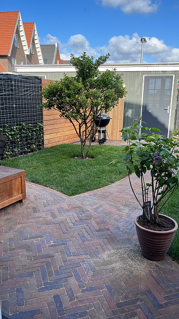 Gebakken Actieklinker Waalformaat 20x5x6 cm Oud Zwanenburg