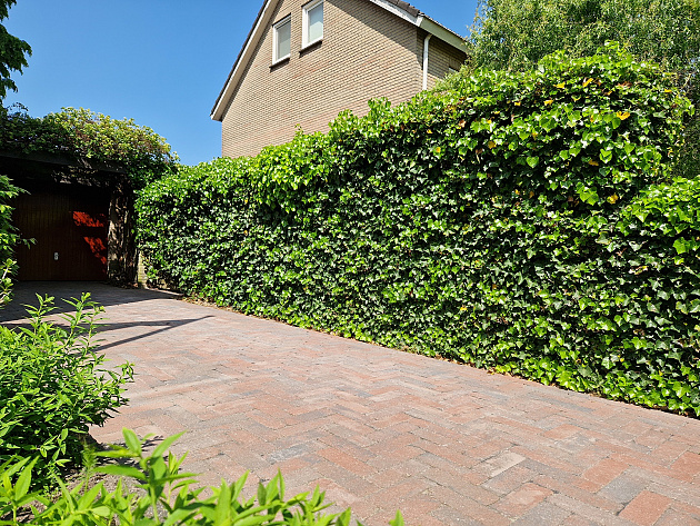 Stonique Trommel Longstone 31,5x10,5x7 cm Oud Emmen