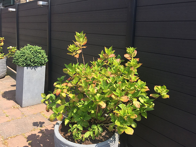 Unique Composiet Tuinscherm Antraciet 170x187 cm