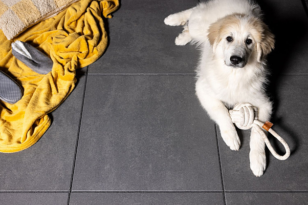 ViaGardenia 80x80x4 cm Pearly