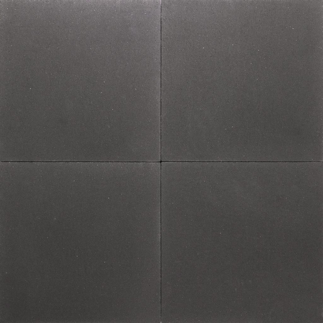 Tuinplavuis 60x60x4cm Lakerveld