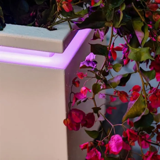 Carrez in-lite Ready aluminium opzetrand voor verlichting 100x100x9,1 cm